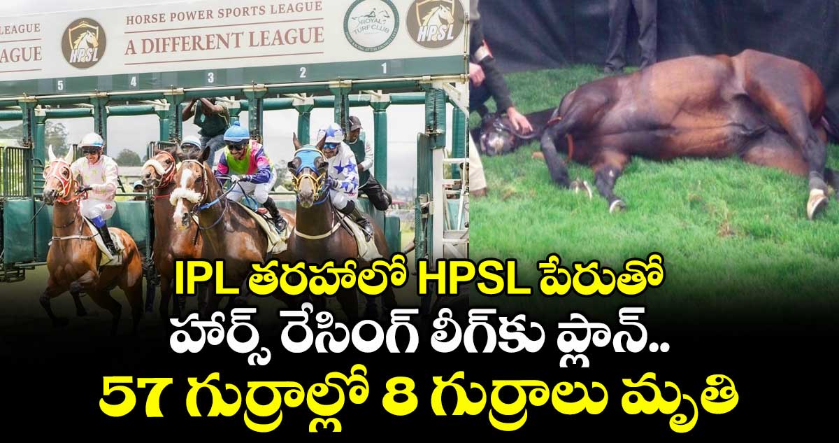 IPL తరహాలో HPSL పేరుతో హార్స్ రేసింగ్ లీగ్⁬కు ప్లాన్.. 57 గుర్రాల్లో 8 గుర్రాలు మృతి