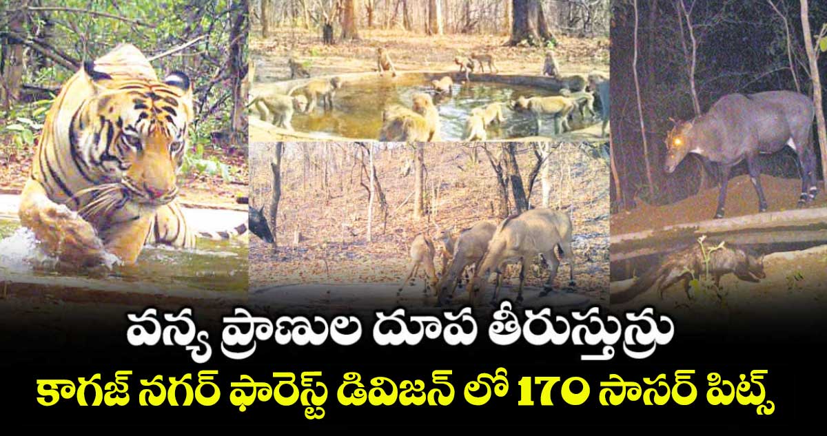 వన్య ప్రాణుల దూప తీరుస్తున్రు .. కాగజ్ నగర్ ఫారెస్ట్ డివిజన్ లో 170 సాసర్ పిట్స్