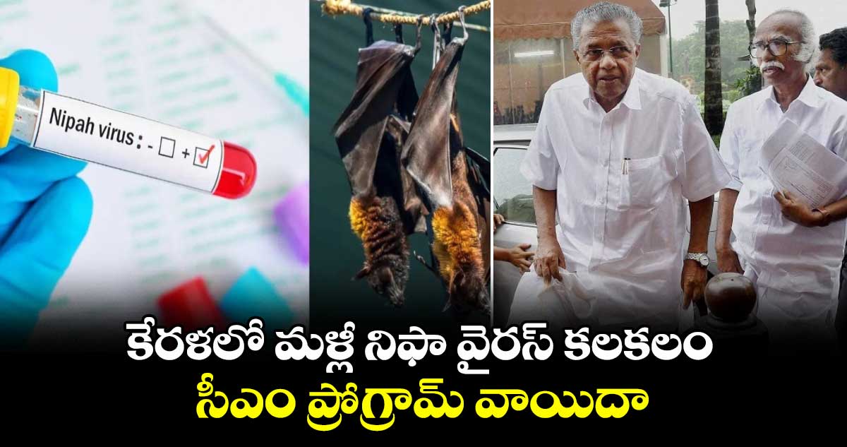 కేరళలో మళ్లీ నిఫా వైరస్ కలకలం.. సీఎం ప్రోగ్రామ్ వాయిదా