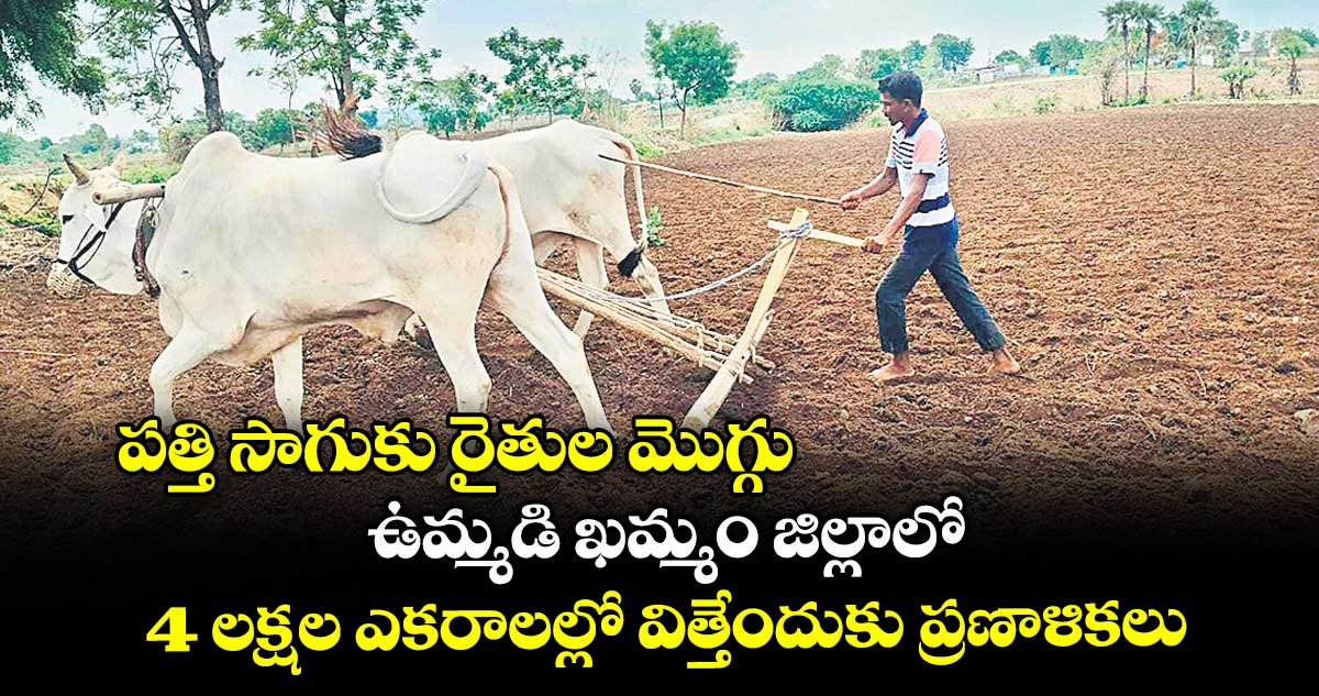 పత్తి సాగుకు రైతుల మొగ్గు .. ఉమ్మడి ఖమ్మం జిల్లాలో 4 లక్షల ఎకరాలల్లో విత్తేందుకు ప్రణాళికలు