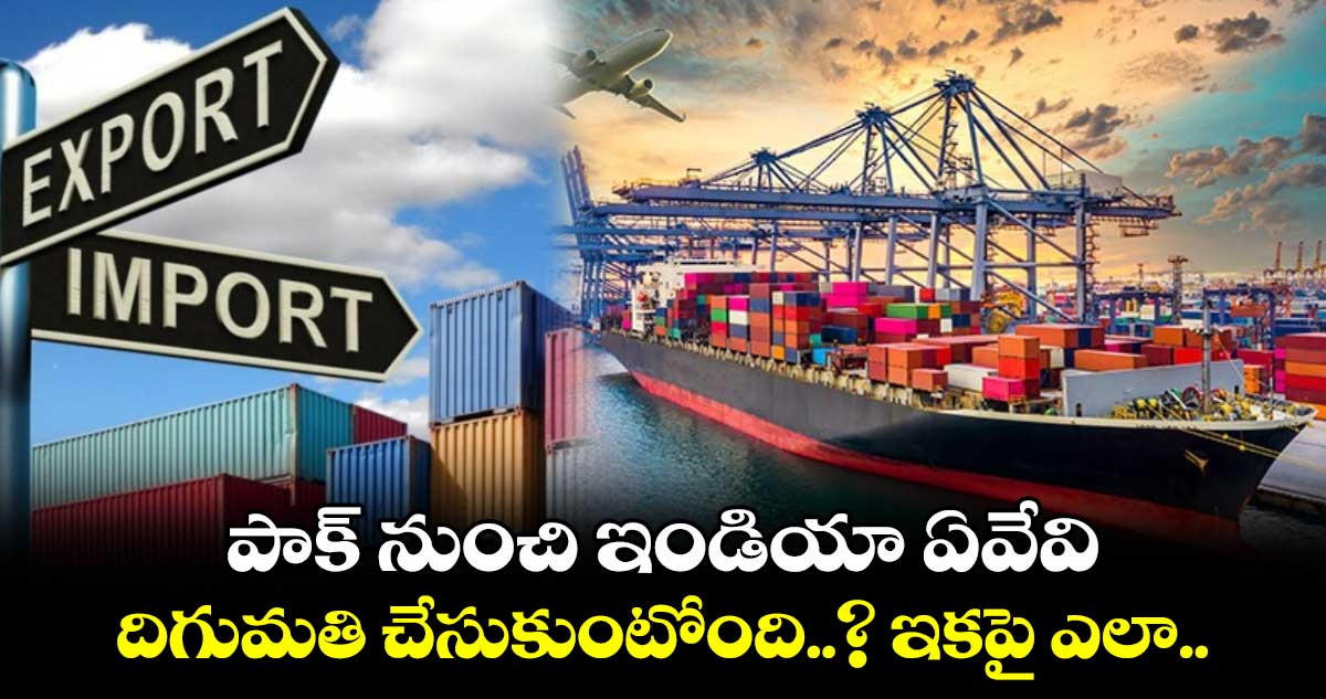 India Vs Pak: పాక్ నుంచి ఇండియా ఏవేవి దిగుమతి చేసుకుంటోంది..? ఇకపై ఎలా..