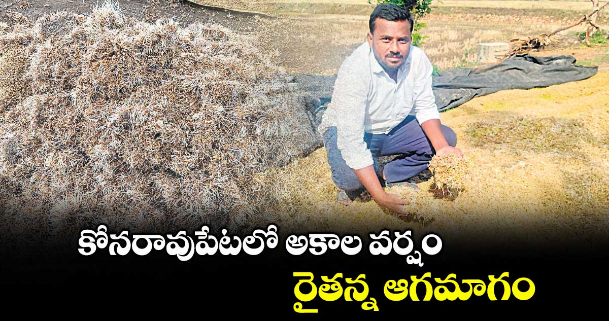 కోనరావుపేటలో అకాల వర్షం.. రైతన్న ఆగమాగం