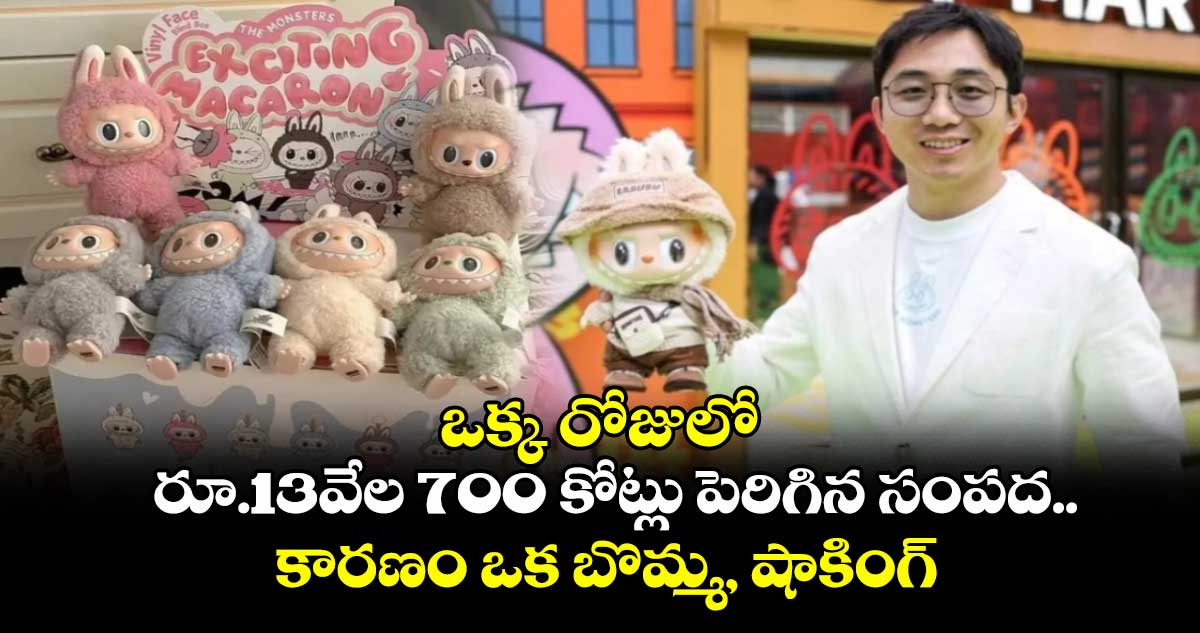 ఒక్క రోజులో రూ.13వేల 700 కోట్లు పెరిగిన సంపద.. కారణం ఒక బొమ్మ, షాకింగ్