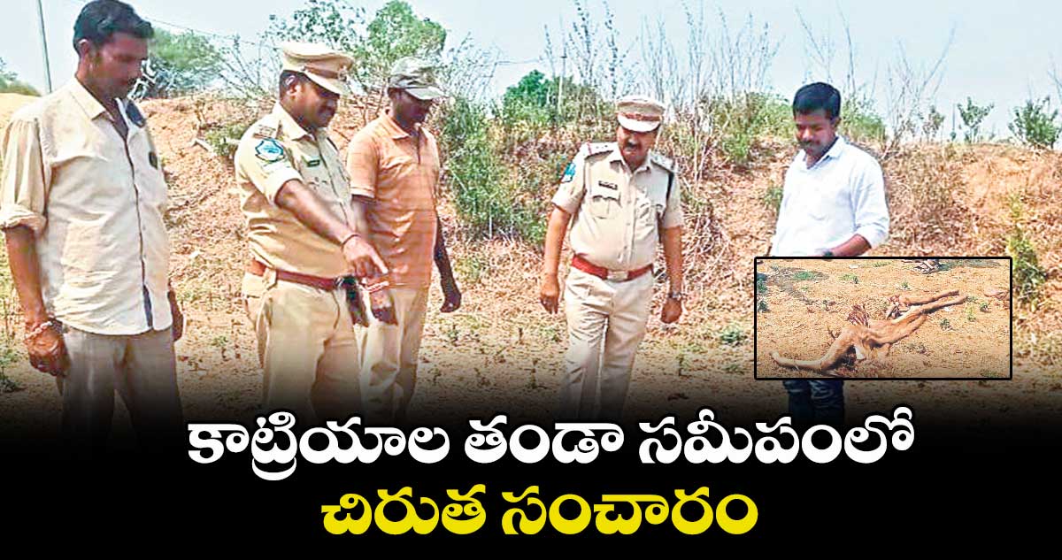 కాట్రియాల తండా సమీపంలో చిరుత సంచారం