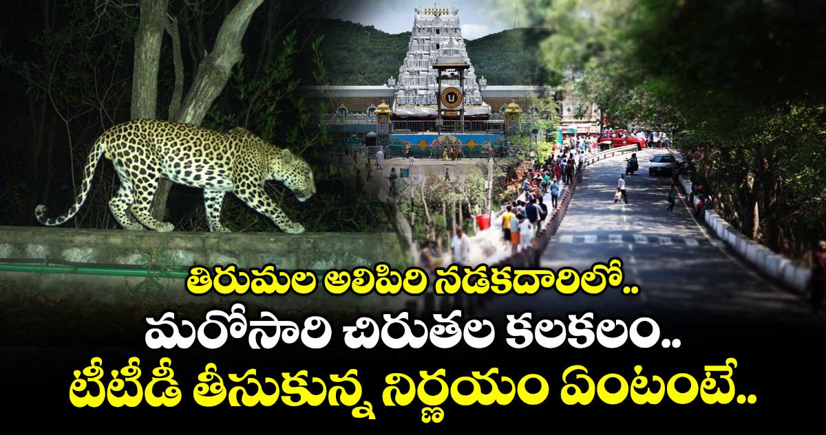 తిరుమల అలిపిరి నడకదారిలో.. మరోసారి చిరుతల కలకలం.. టీటీడీ తీసుకున్న నిర్ణయం ఏంటంటే..