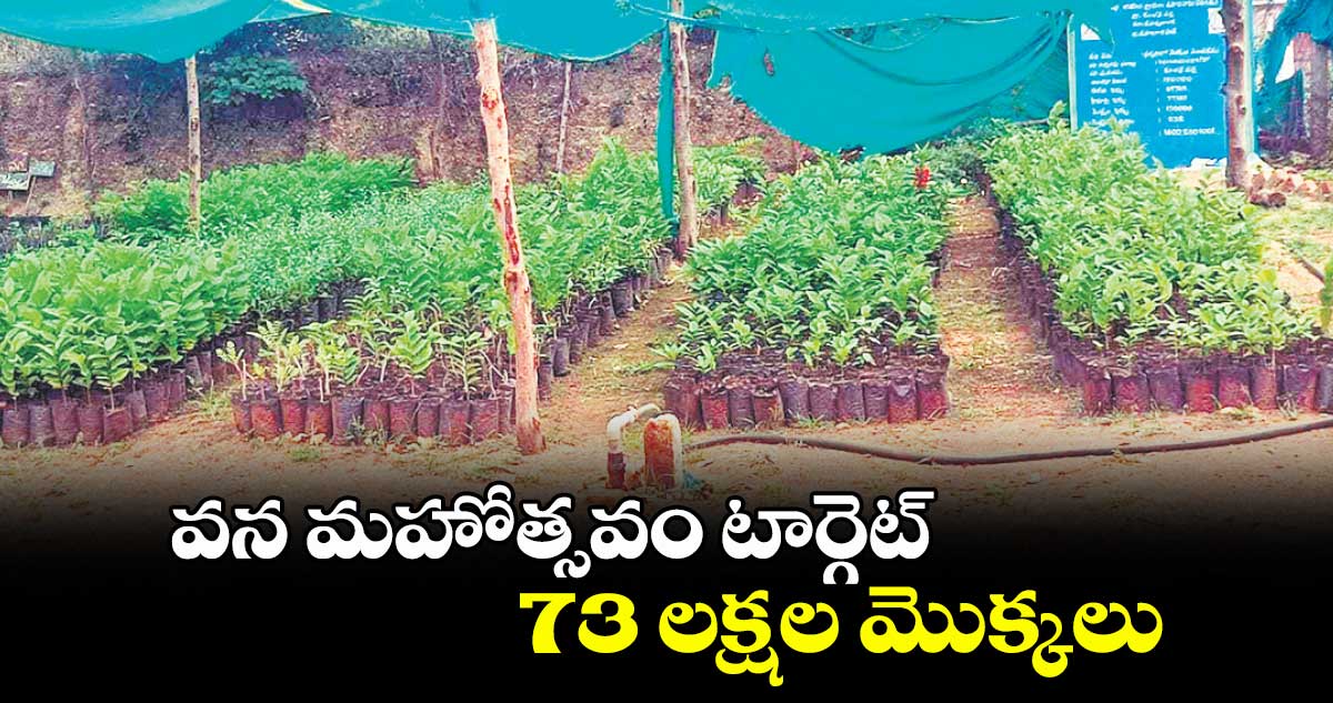వన మహోత్సవం టార్గెట్ .. 73 లక్షల మొక్కలు