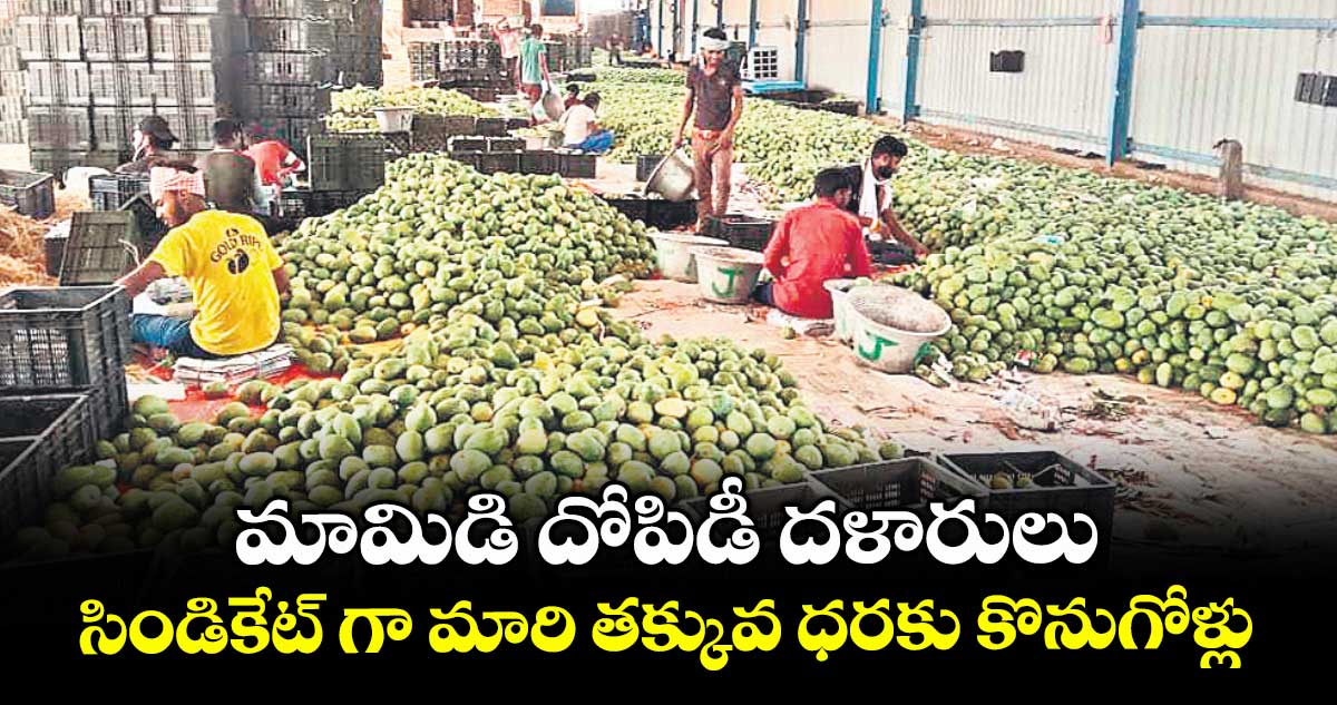 మామిడి దోపిడీ దళారులు సిండికేట్ గా మారి తక్కువ ధరకు కొనుగోళ్లు