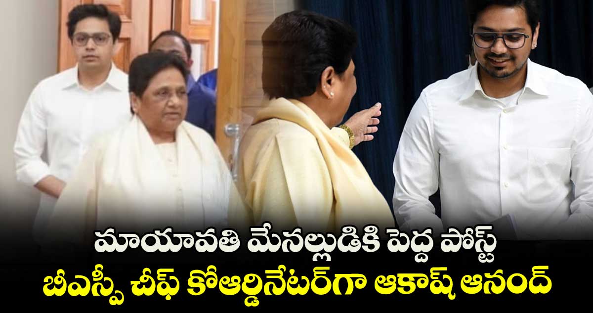 మాయావతి మేనల్లుడికి పెద్ద పోస్ట్.. బీఎస్పీ చీఫ్ కోఆర్డినేటర్గాఆకాష్ ఆనంద్