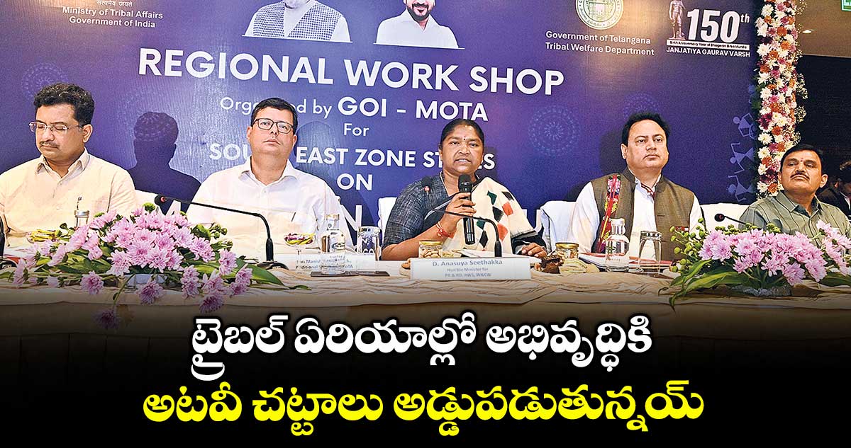 ట్రైబల్ ఏరియాల్లో అభివృద్ధికి అటవీ చట్టాలు అడ్డుపడుతున్నయ్ : మంత్రి సీతక్క