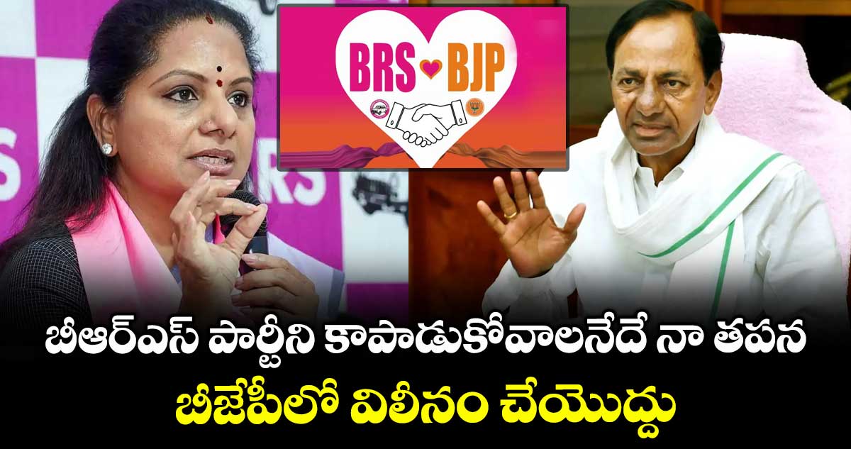 బీఆర్ఎస్ పార్టీని కాపాడుకోవాలనేదే నా తపన.. బీజేపీలో విలీనం చేయొద్దు : కవిత