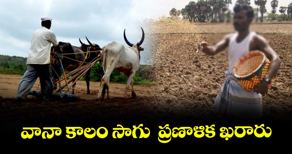 వానా కాలం సాగు ప్రణాళిక ఖరారు
