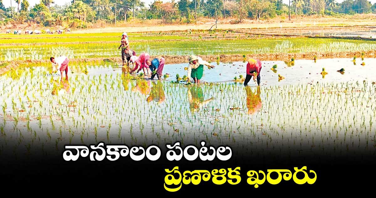 వానకాలం పంటల ప్రణాళిక ఖరారు