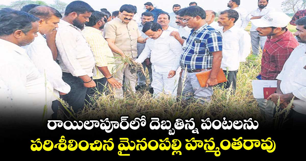 రాయిలాపూర్లో దెబ్బతిన్న పంటలను పరిశీలించిన మైనంపల్లి హన్మంతరావు