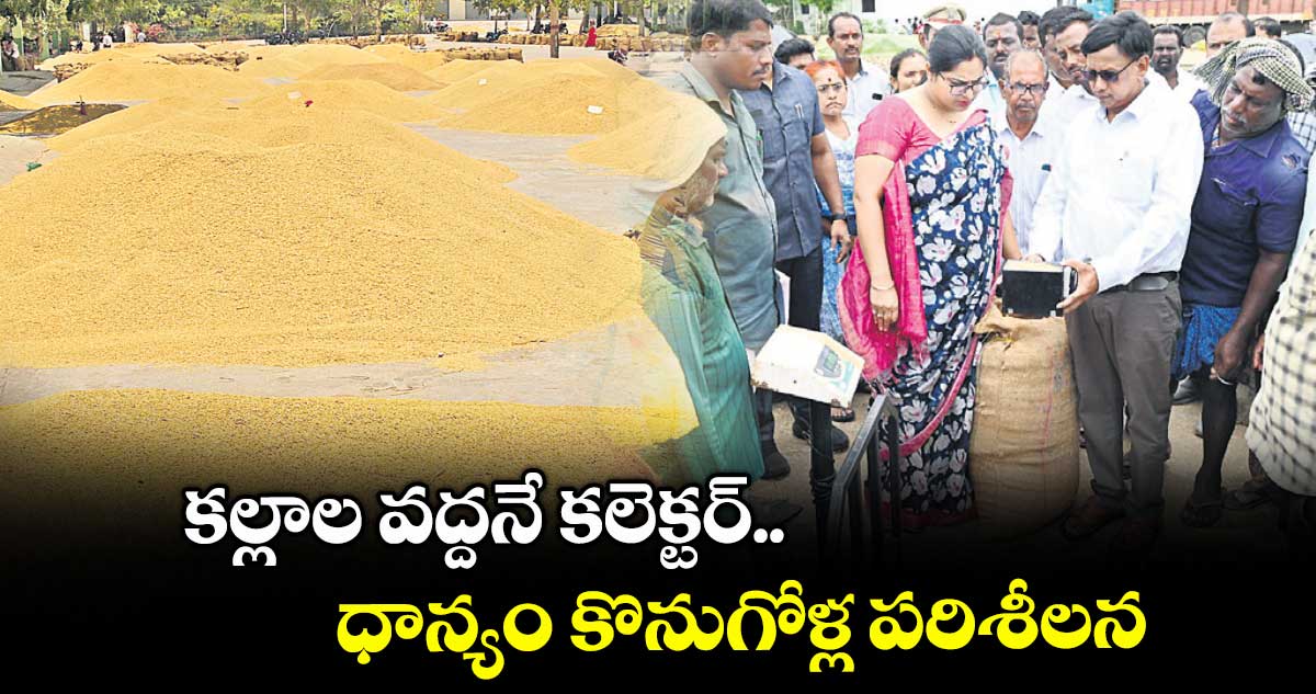 కల్లాల వద్దనే కలెక్టర్.. ధాన్యం కొనుగోళ్ల పరిశీలన