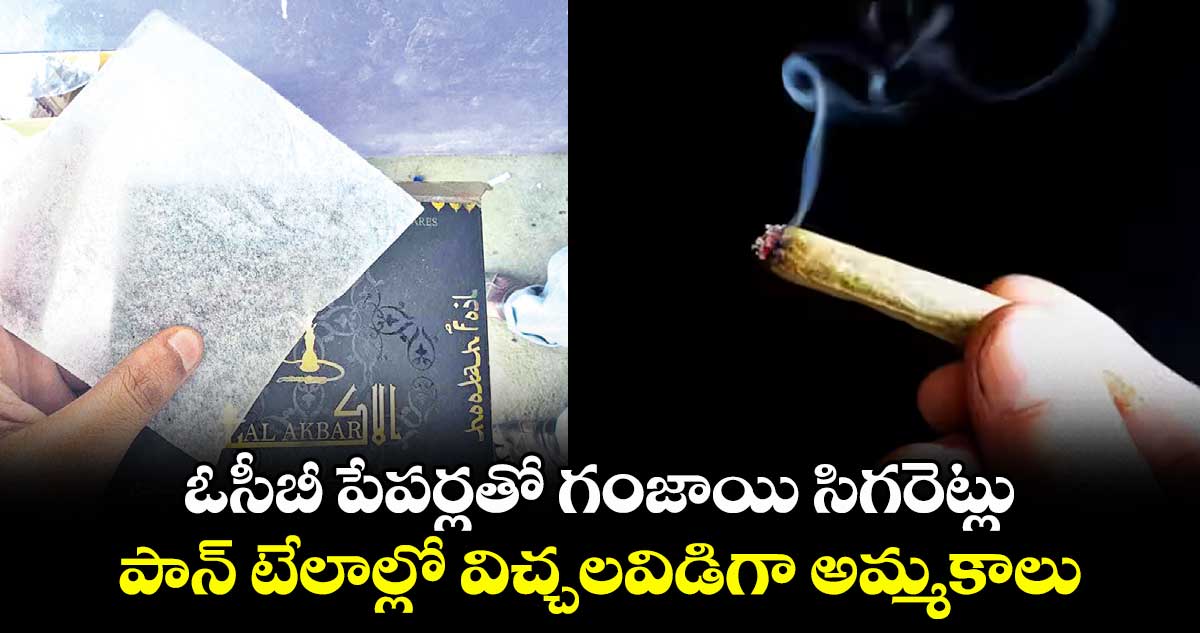 ఓసీబీ పేపర్లతో గంజాయి సిగరెట్లు .. పాన్ టేలాల్లో విచ్చలవిడిగా అమ్మకాలు