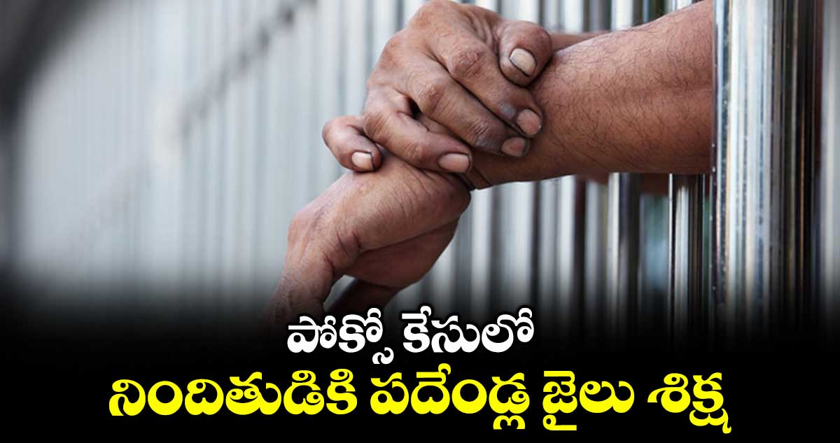 పోక్సో కేసులో నిందితుడికి పదేండ్ల జైలు శిక్ష