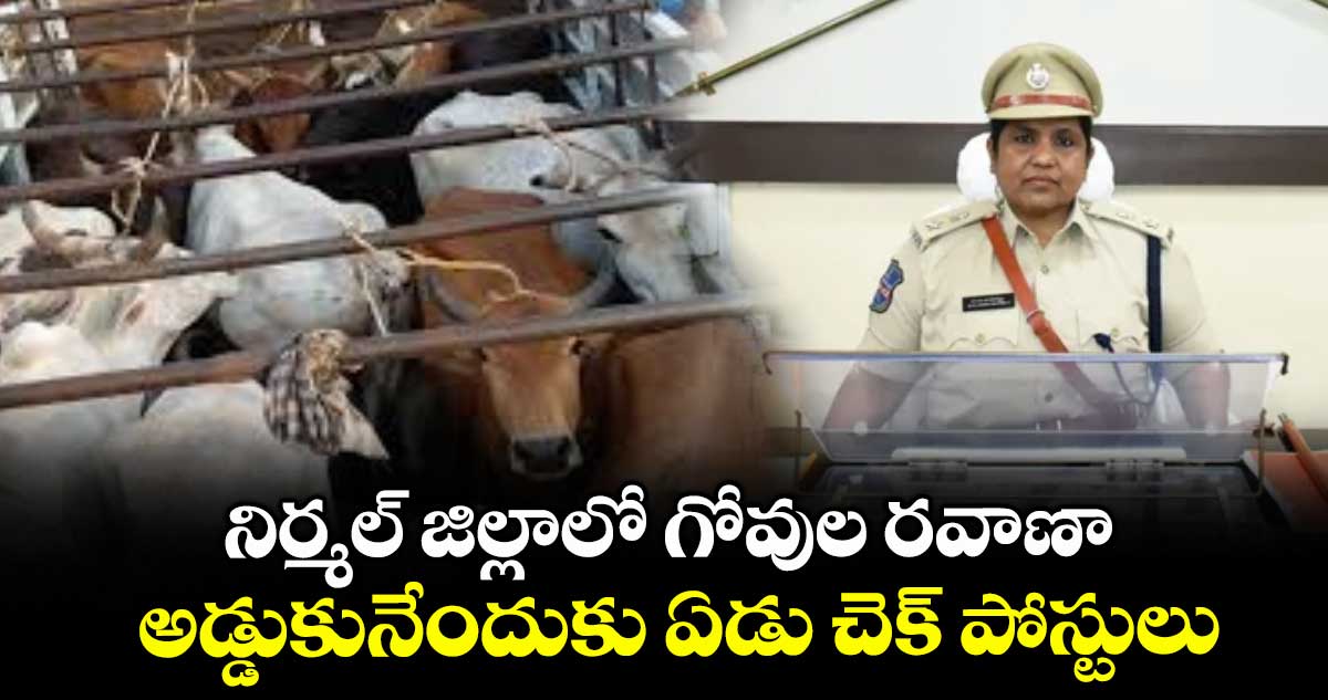 నిర్మల్ జిల్లాలో గోవుల రవాణా అడ్డుకునేందుకు ఏడు చెక్ పోస్టులు : ఎస్పీ జానకీ షర్మిల