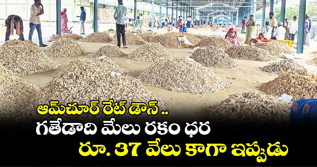 ఆమ్‌‌‌‌‌‌‌‌‌‌‌‌‌‌‌‌‌‌‌‌‌‌‌‌‌‌‌‌‌‌‌‌చూర్​ రేట్​ డౌన్ .. గతేడాది మేలు రకం ధర రూ. 37 వేలు కాగా ఇప్పుడు రూ.33 వేలే