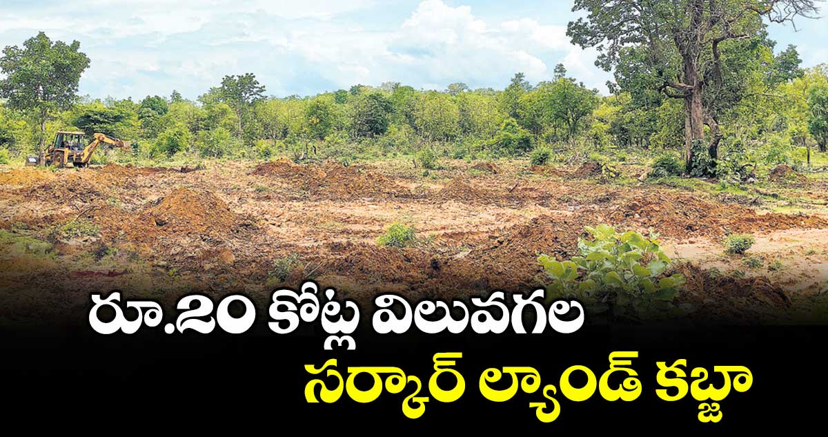 రూ.20 కోట్ల విలువ సర్కార్ ల్యాండ్ కబ్జా