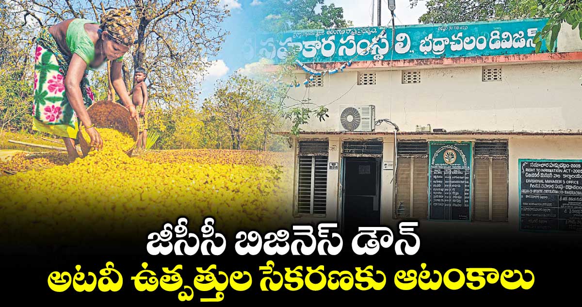 జీసీసీ బిజినెస్​ డౌన్​.. అటవీ ఉత్పత్తుల సేకరణకు ఆటంకాలు 