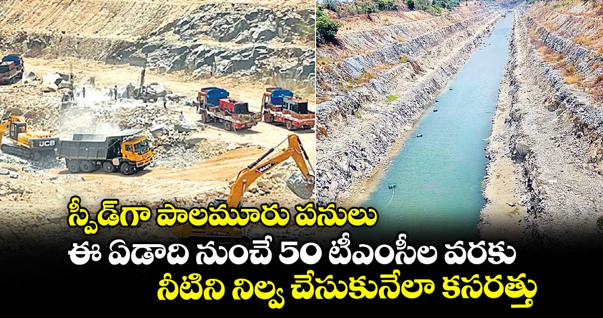 స్పీడ్గా పాలమూరు పనులు... ఈ ఏడాది నుంచే 50 టీఎంసీల వరకు నీటిని నిల్వ చేసుకునేలా కసరత్తు