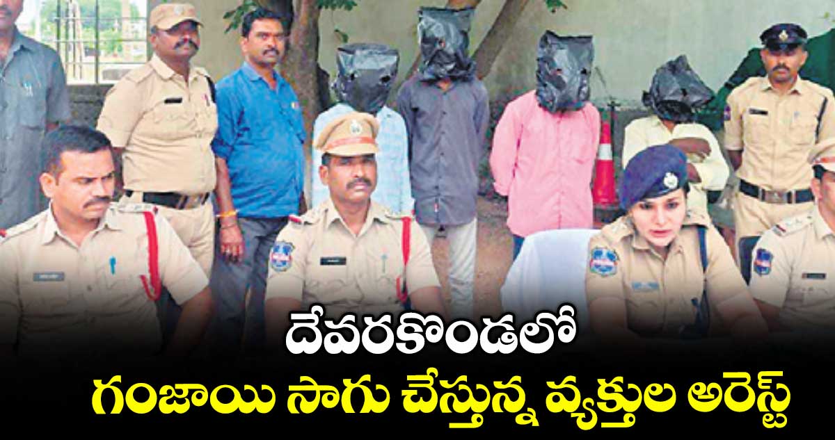 దేవరకొండలో గంజాయి సాగు చేస్తున్న వ్యక్తుల అరెస్ట్