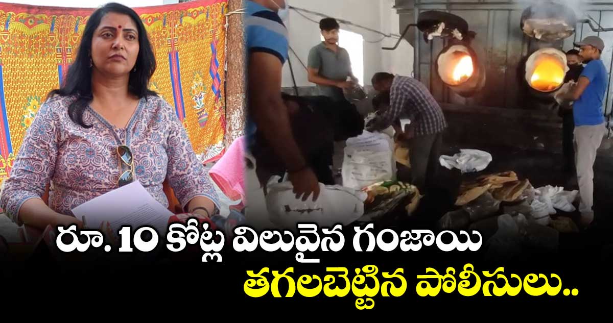 రూ. 10 కోట్ల విలువైన గంజాయి తగలబెట్టిన పోలీసులు..