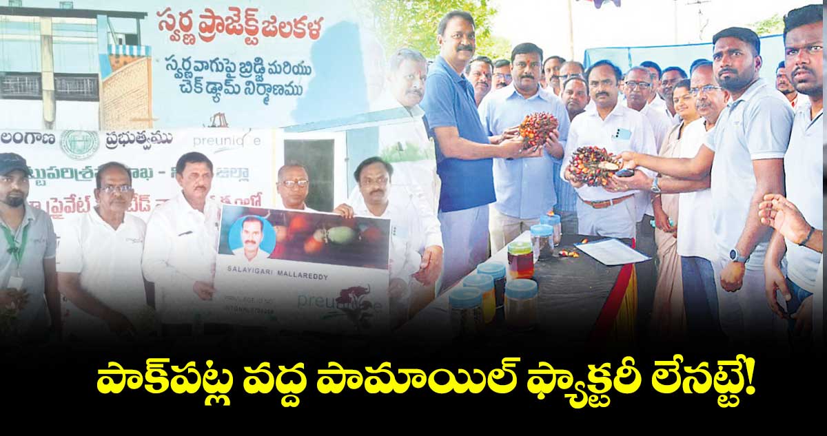 పాక్పట్ల వద్ద పామాయిల్ ఫ్యాక్టరీ లేనట్టే!