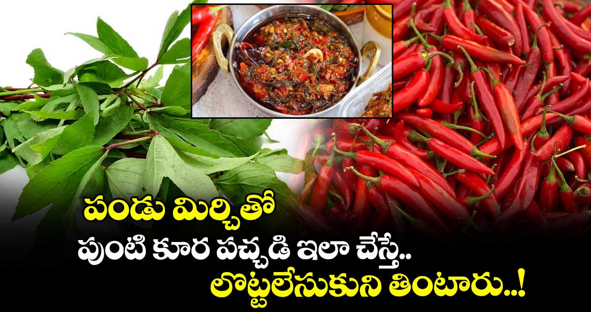 Chutney Recipes : పండు మిర్చితో పుంటి కూర పచ్చడి ఇలా చేస్తే.. లొట్టలేసుకుని తింటారు..!