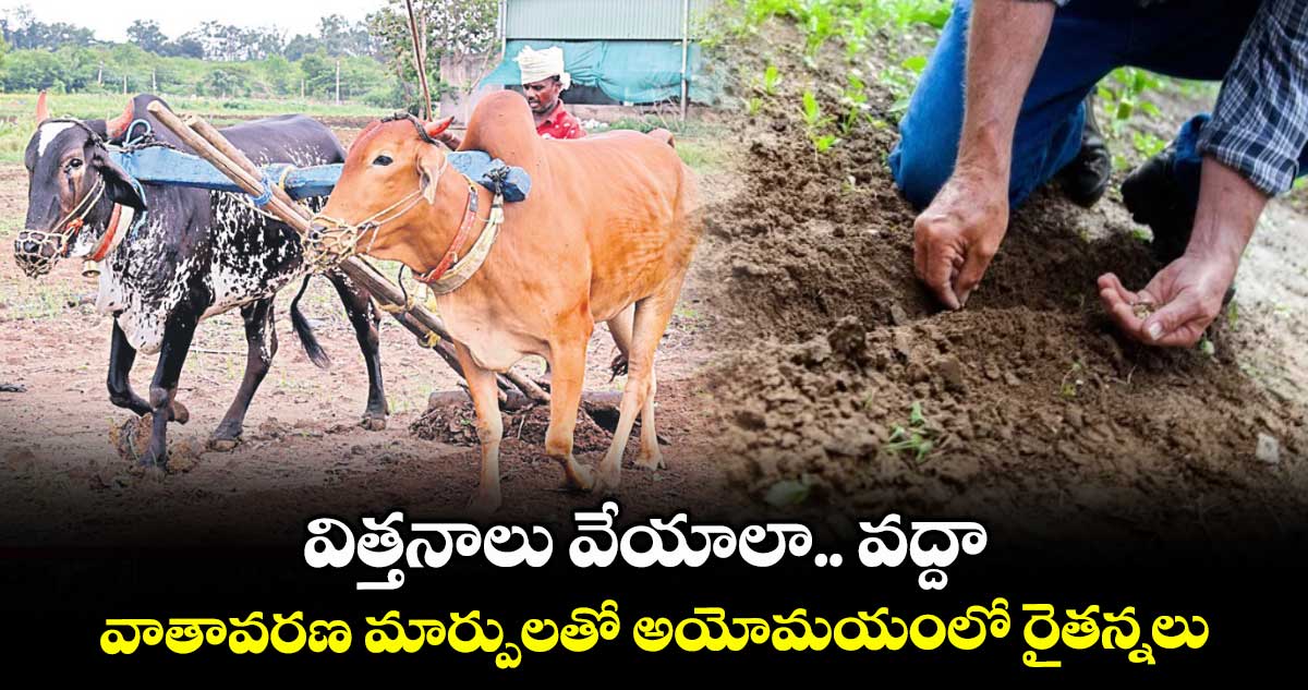 విత్తనాలు వేయాలా.. వద్దా .. వాతావరణ మార్పులతో అయోమయంలో రైతన్నలు