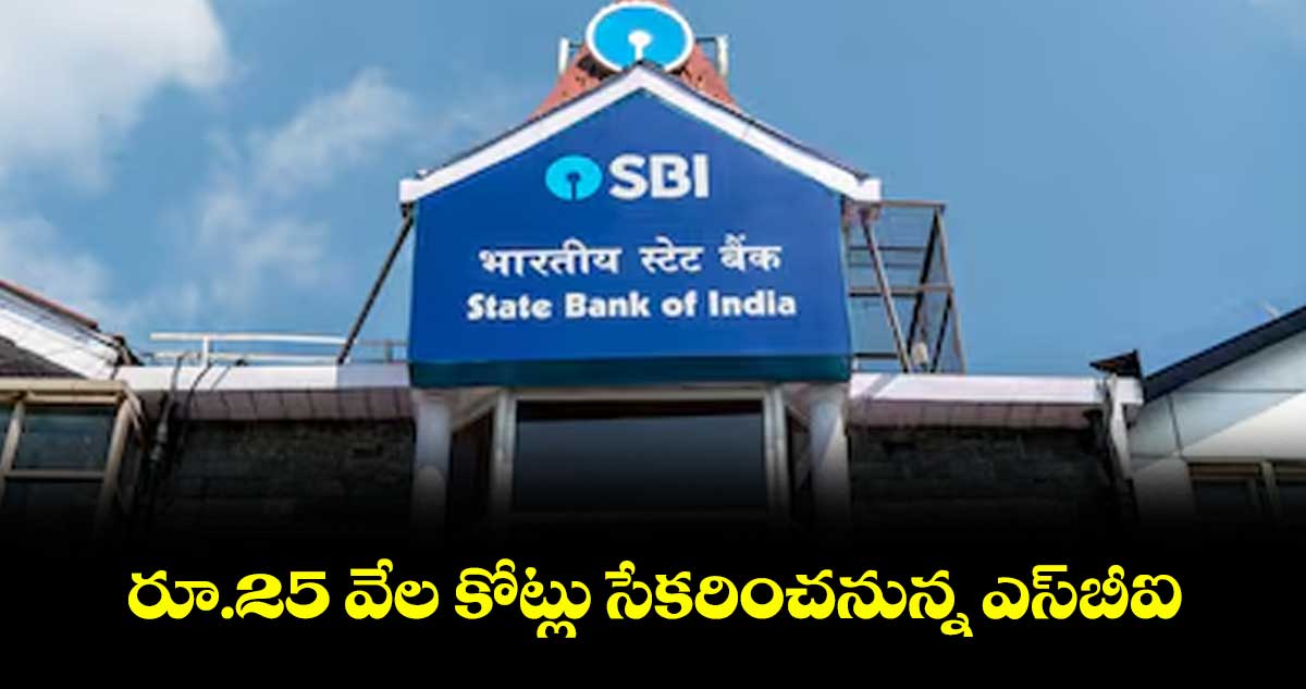 రూ.25 వేల కోట్లు సేకరించనున్న ఎస్బీఐ
