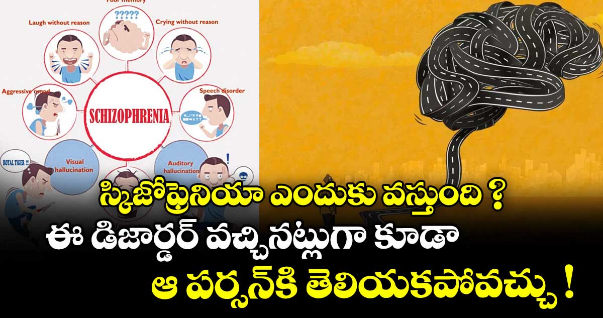 స్కిజోఫ్రెనియా ఎందుకు వస్తుంది ? ఈ డిజార్డర్ వచ్చినట్లుగా కూడా ఆ పర్సన్కి తెలియకపోవచ్చు !