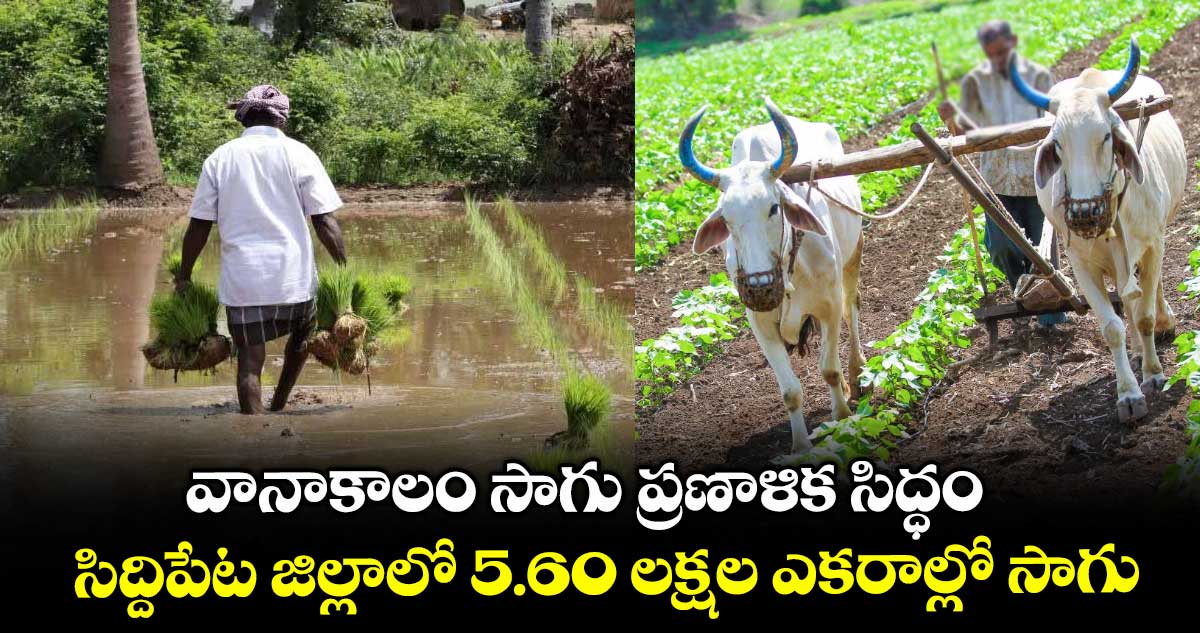 వానాకాలం సాగు ప్రణాళిక సిద్ధం .. సిద్దిపేట జిల్లాలో 5.60 లక్షల ఎకరాల్లో సాగు