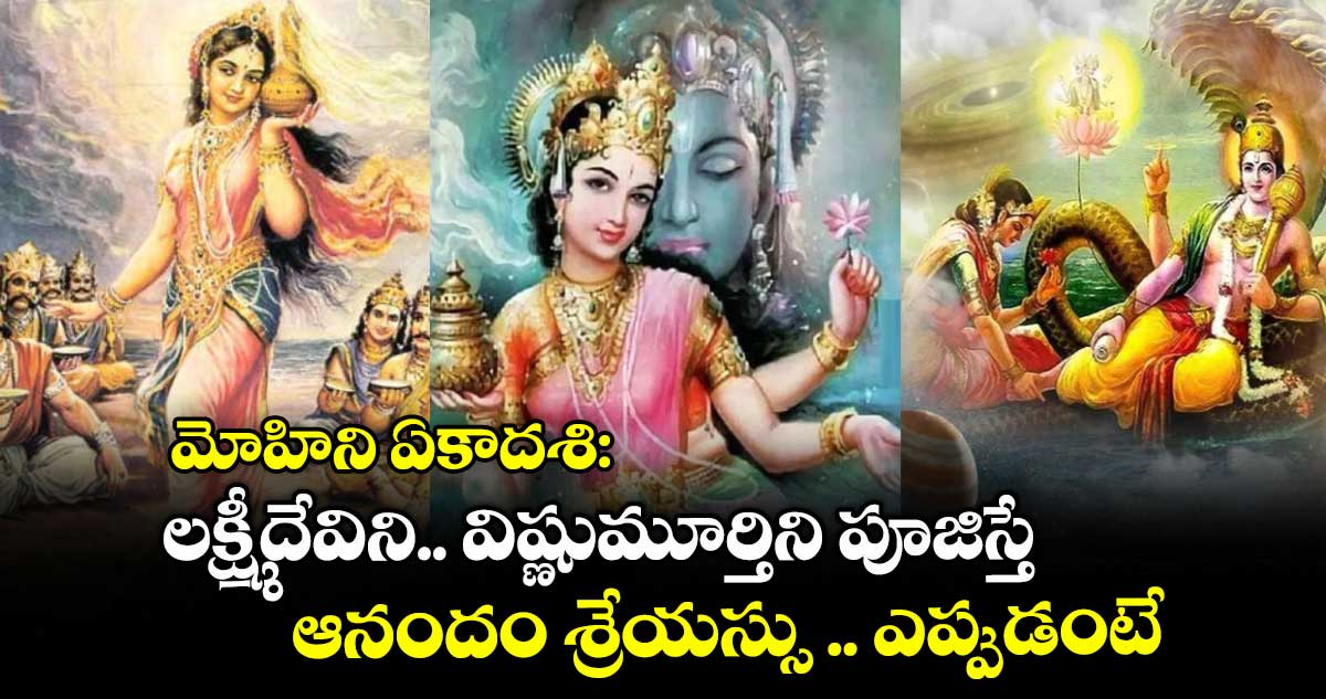 మోహిని ఏకాదశి: లక్ష్మీదేవిని.. విష్ణుమూర్తిని పూజిస్తే ఆనందం శ్రేయస్సు .. ఎప్పుడంటే..