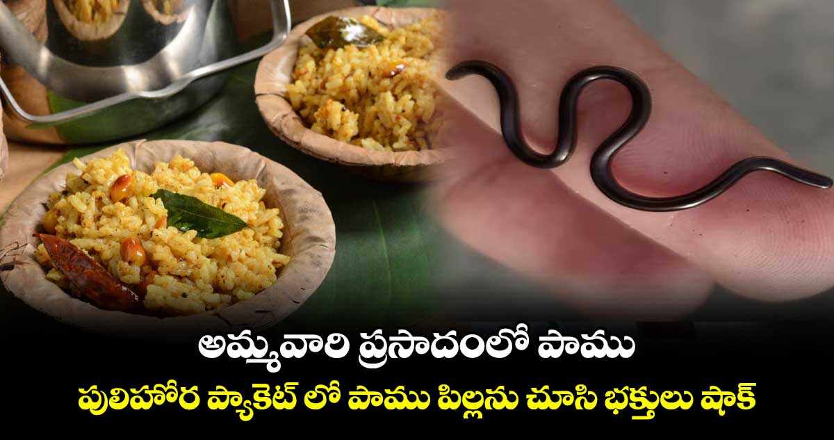 అమ్మవారి ప్రసాదంలో పాము.. పులిహోర ప్యాకెట్ లో పాము పిల్లను చూసి భక్తులు షాక్..