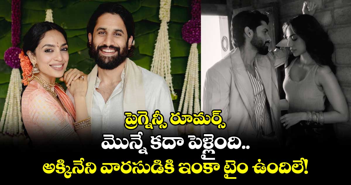 Sobhita Pregnancy: మొన్నే కదా పెళ్లైంది.. అక్కినేని వారసుడికి ఇంకా టైం ఉందిలే!