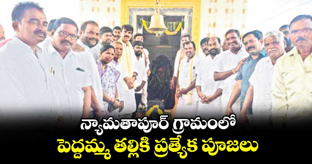 న్యామతాపూర్ గ్రామంలో పెద్దమ్మ తల్లికి ప్రత్యేక పూజలు