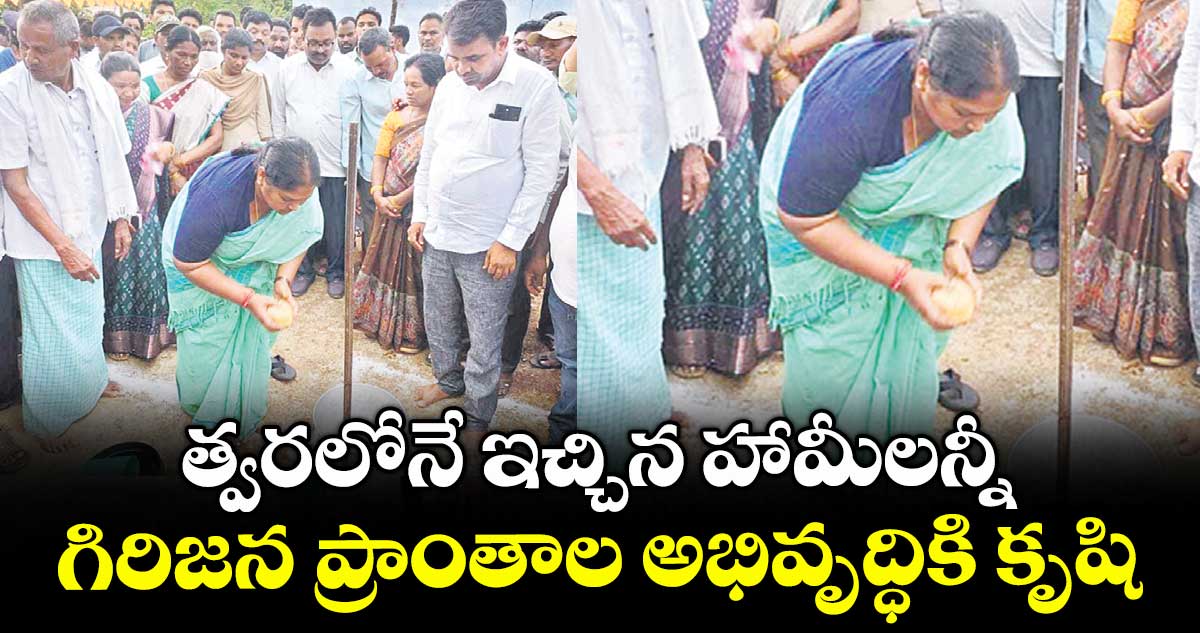 కొత్తగూడ మండలంలో గిరిజన ప్రాంతాల అభివృద్ధికి కృషి : మంత్రి సీతక్క