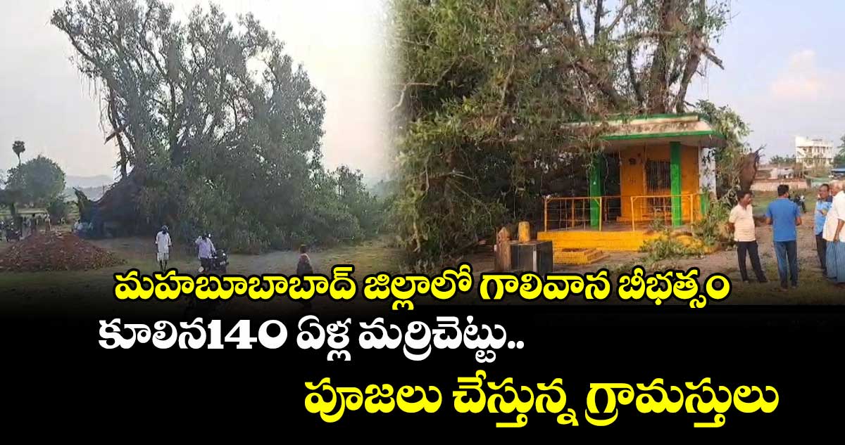 మహబూబాబాద్ జిల్లాలో గాలివాన బీభత్సం.. కూలిన140 ఏళ్ల మర్రిచెట్టు.. పూజలు చేస్తున్న గ్రామస్తులు