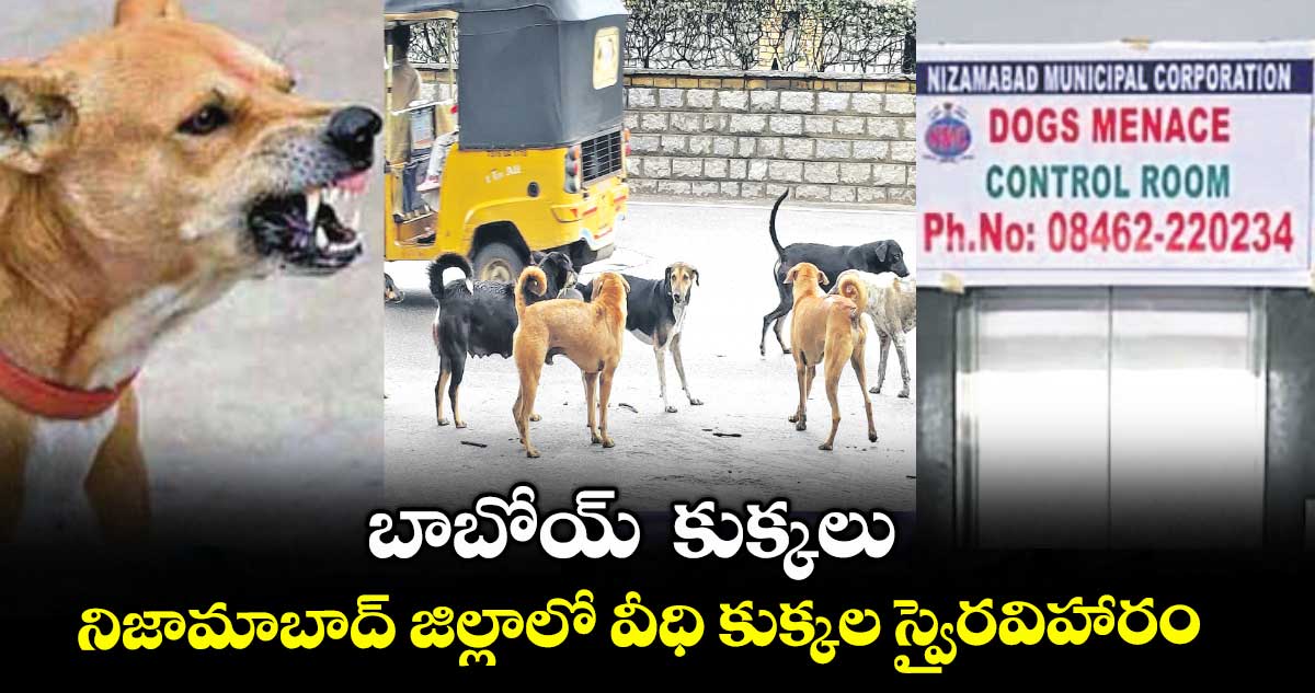 బాబోయ్ కుక్కలు .. నిజామాబాద్ జిల్లాలో వీధి కుక్కల స్వైరవిహారం
