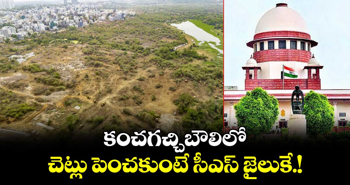 కంచగచ్చిబౌలిలో చెట్లు పెంచకుంటే సీఎస్ జైలుకే!
