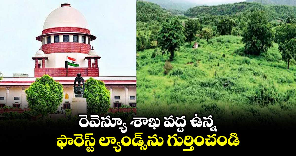 రెవెన్యూ శాఖ వద్ద ఉన్న ఫారెస్ట్ ల్యాండ్స్ను గుర్తించండి