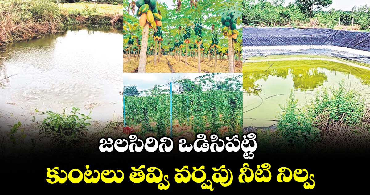 జలసిరిని ఒడిసిపట్టి కుంటలు తవ్వి వర్షపు నీటి నిల్వ