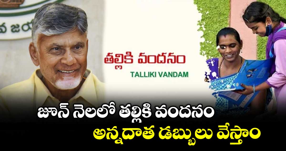 Good News : జూన్ నెలలో తల్లికి వందనం, అన్నదాత డబ్బులు వేస్తాం : సీఎం చంద్రబాబు