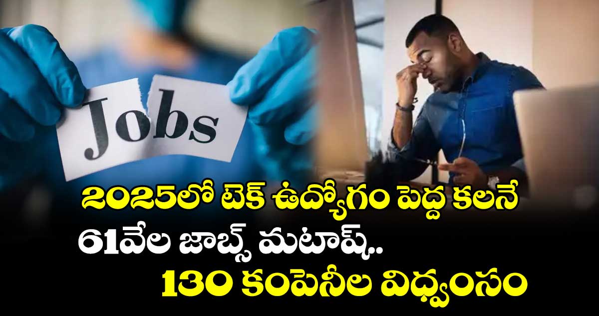 Tech Layoffs: 2025లో టెక్ ఉద్యోగం పెద్ద కలనే.. 61వేల జాబ్స్ మటాష్.. 130 కంపెనీల విధ్వంసం