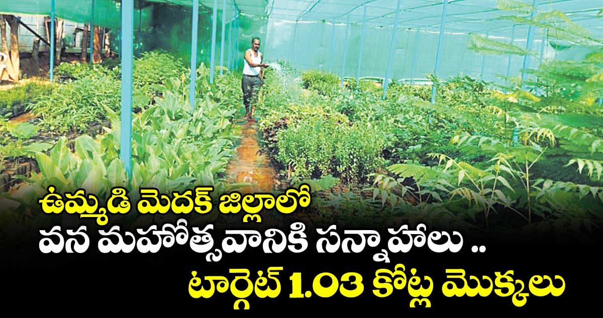 ఉమ్మడి మెదక్ జిల్లాలో వన మహోత్సవానికి సన్నాహాలు .. టార్గెట్ 1.03 కోట్ల మొక్కలు 
