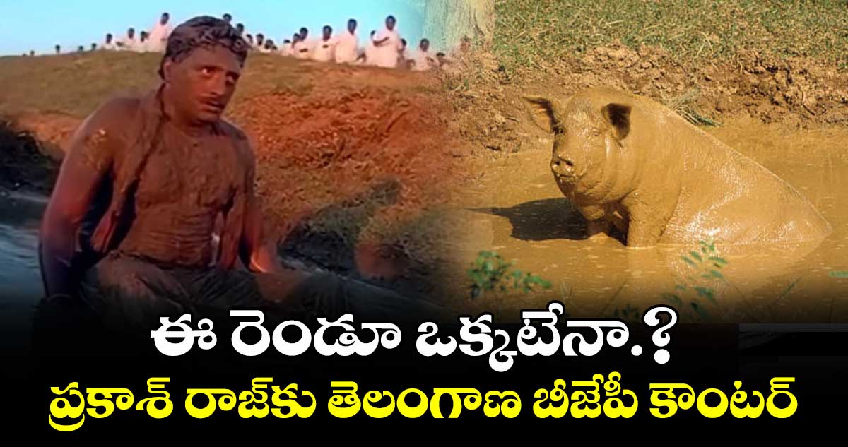 ఈ రెండూ ఒక్కటేనా.?ప్రకాశ్ రాజ్కు తెలంగాణ బీజేపీ కౌంటర్