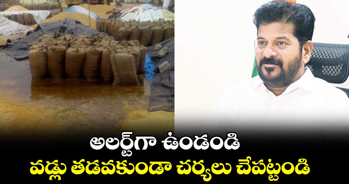 అలర్ట్‌‌‌‌గా ఉండండి .. వడ్లు తడవకుండా చర్యలు చేపట్టండి: సీఎం రేవంత్ 
