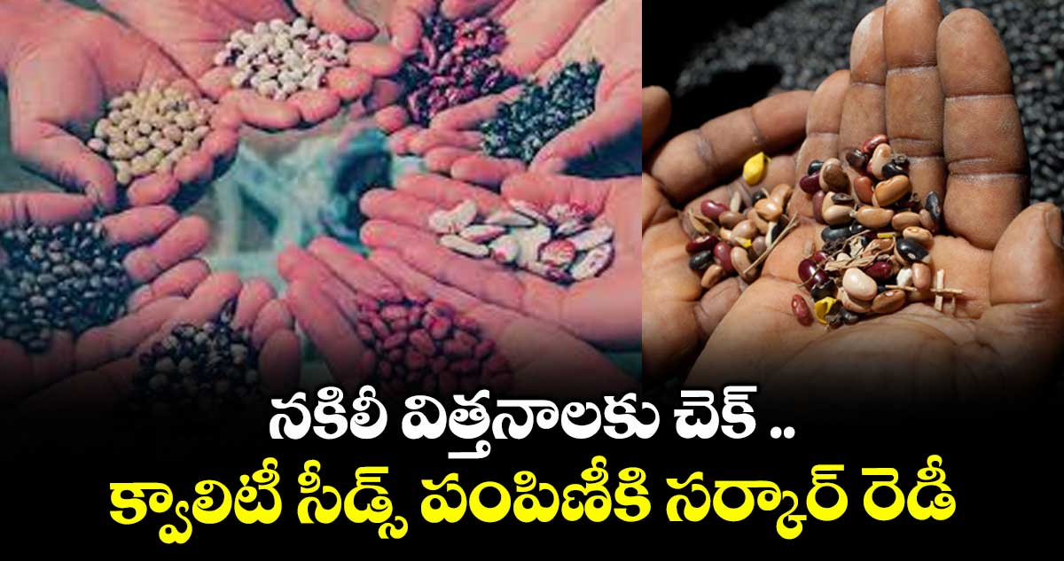 నకిలీ విత్తనాలకు చెక్ .. క్వాలిటీ సీడ్స్ పంపిణీకి సర్కార్ రెడీ
