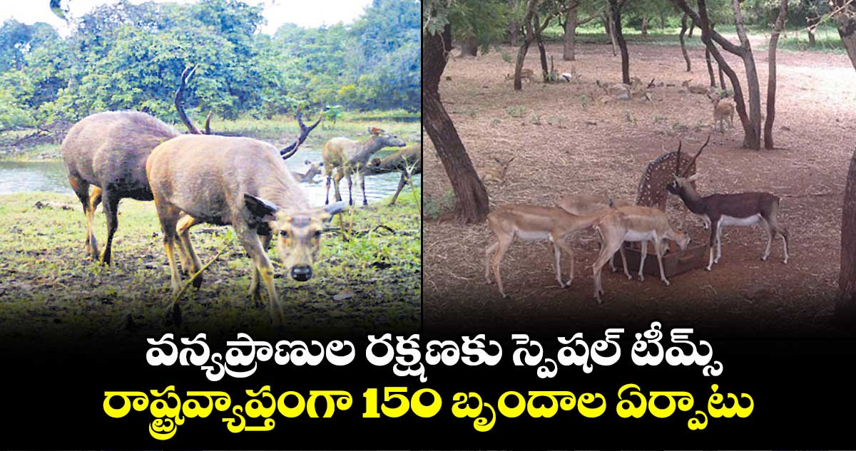 వన్యప్రాణుల రక్షణకు స్పెషల్ టీమ్స్ .. రాష్ట్రవ్యాప్తంగా 150 బృందాల ఏర్పాటు